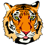 Hear Our Roar tiger